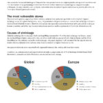 Strongpoint, Loss Prevention White Paper_Sida_04